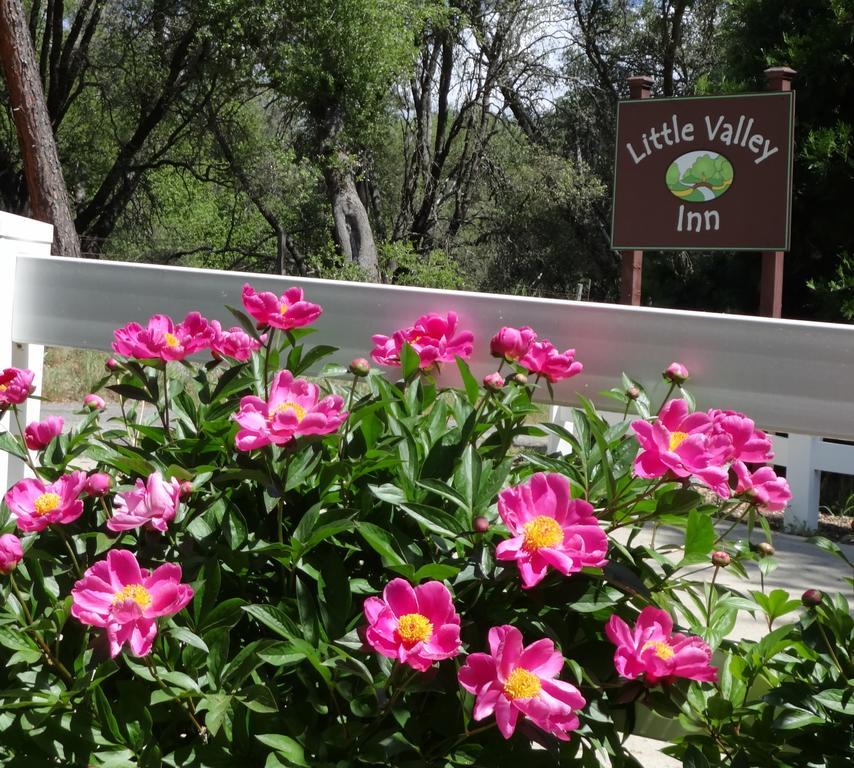 Little Valley Inn Mariposa Bagian luar foto