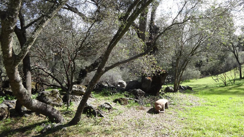 Little Valley Inn Mariposa Bagian luar foto