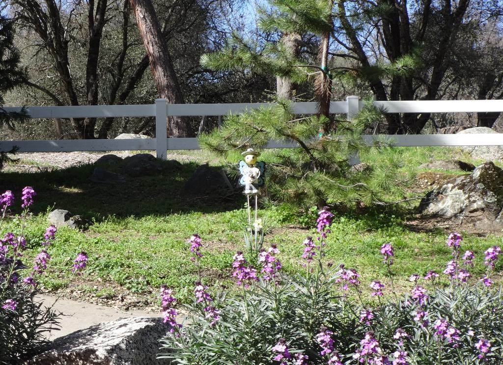 Little Valley Inn Mariposa Bagian luar foto